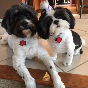 Meet your Posher, Trina